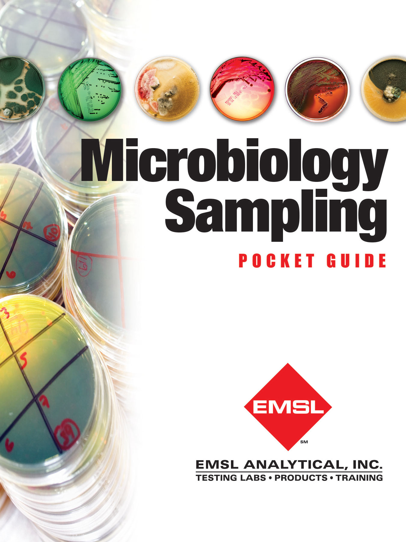 Microbiology