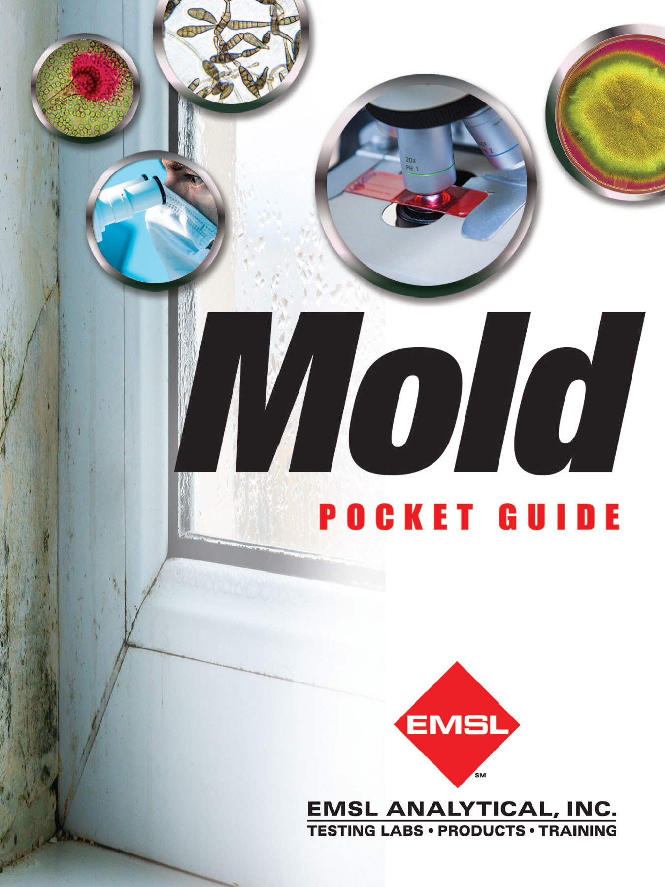 Mold