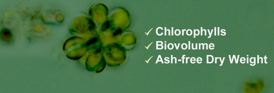 Biomass Analysis