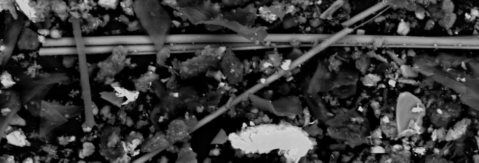 Dust Characterization and Analysis