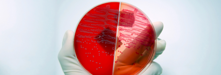 Microbiology 6