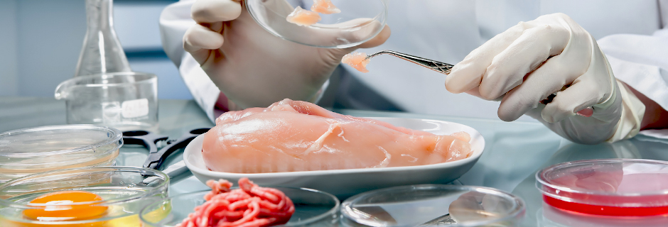 Petri Dish Food