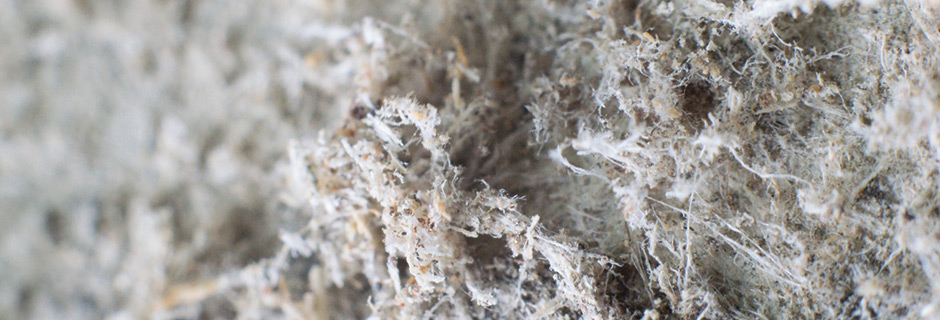 dust