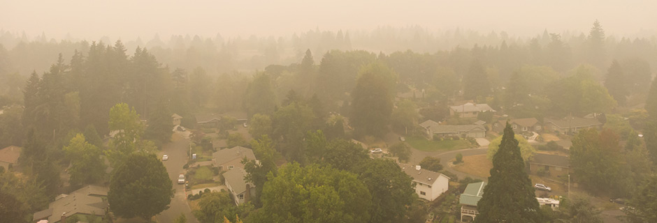 Pollutants