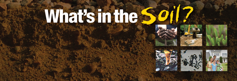 What's in the Soil