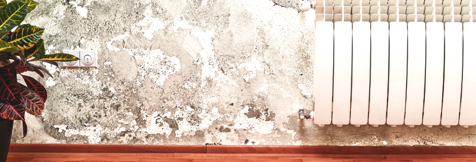 mold wall