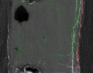 SEM with elemental mapping