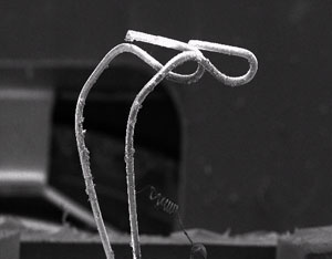The filaments with glass fragments adhered to the tungsten