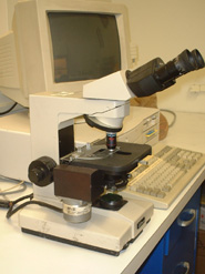 © 2025 EMSL Analytical, Inc.   All rights reserved