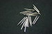 Protimeter 1" Replacement Pin Needles - 20 pk