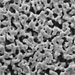 25mm .45um silver filter membranes 50/pk