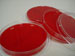 TSA w/ Blood Agar Plates -10pk