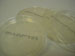 PDA Agar Plate
