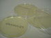 PCA Agar Plates - 10 pack