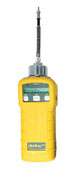 Minirae 2000 PID 5 Day Rental