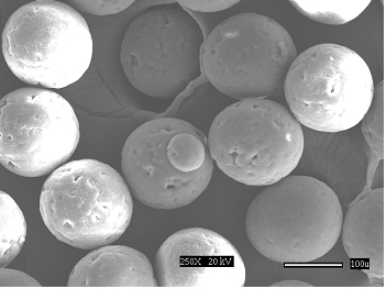 Particle Sizing SEM